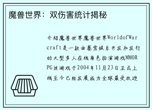 魔兽世界：双伤害统计揭秘