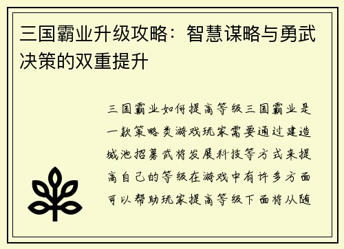 三国霸业升级攻略：智慧谋略与勇武决策的双重提升